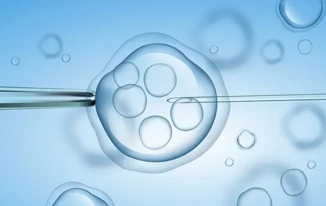 邢台不孕症流行病学调查