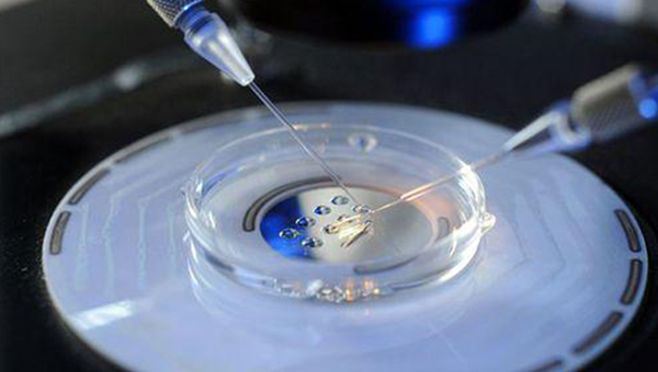 造成不孕的因素